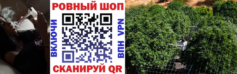 Купить закладку Alpha PVP  Cocaine  Вейп ТГК  Каннабис  Бутират  Меф  ГАШ  Галлюциногенные грибы  Мурманск
