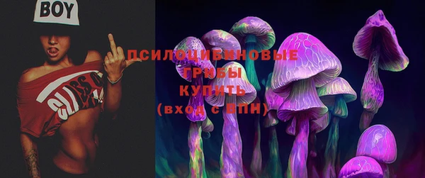сатива Карталы