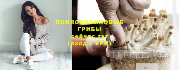 сатива Карталы