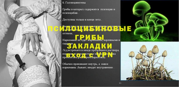 сатива Карталы