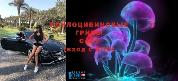 винт Касимов